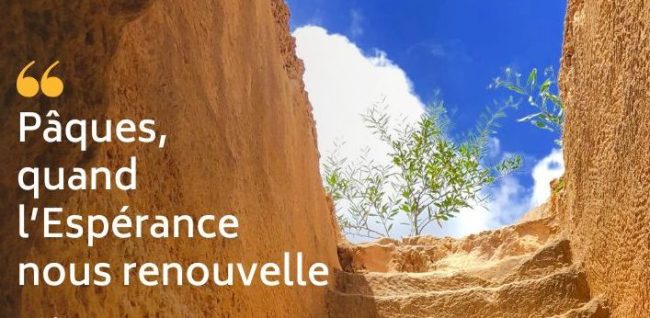 Paques-quand-lEsperance-nous-renouvelle-Eclairage-du-P.-Francois-Boedec-jesuite-Provincial